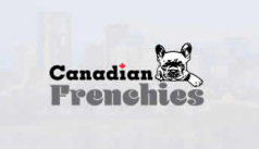 Canadian Frenchies Home